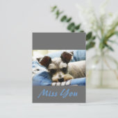 Carte Postale Penser à vous, Mini Schnauzer doux (Debout devant)