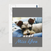 Carte Postale Penser à vous, Mini Schnauzer doux (Devant / Derrière)