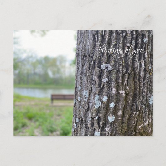 Carte Postale Penser à vous, nature, banc de parc (Devant)