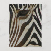 Carte Postale Penser à vous/n'importe quelle Occasions_Postcard (Devant)