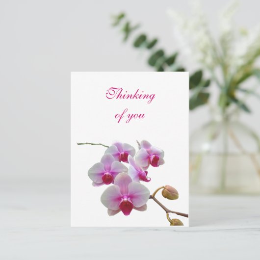 Carte Postale Penser à vous Orchidées - Phalaenopsis (Debout devant)