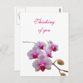 Carte Postale Penser à vous Orchidées - Phalaenopsis (Devant / Derrière)