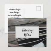 Carte Postale Penser à vous Plumes de canard Photo moderne (Devant / Derrière)