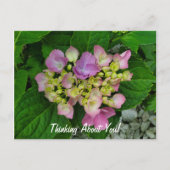 Carte Postale Penser À Vous Plutôt Rose Violet Fleurs (Devant)