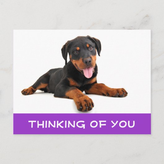 Carte Postale Penser à vous Rottweiler Puppy Chien Postcard (Devant)
