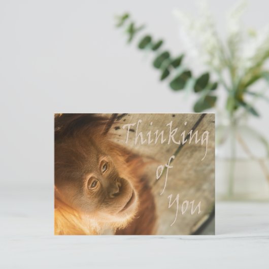 Carte Postale Penser à vous singe (Debout devant)