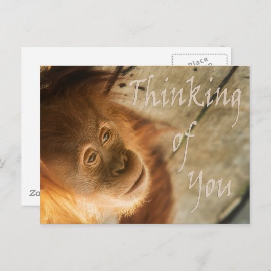 Carte Postale Penser à vous singe (Devant / Derrière)