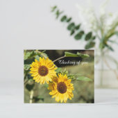 Carte Postale Penser À Vous Tournesols (Debout devant)