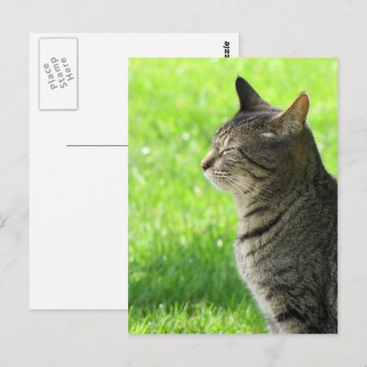 Carte Postale Penser ... de vous ... (Devant / Derrière)