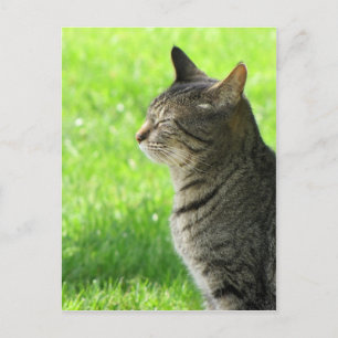 Carte Postale Penser ... de vous ...