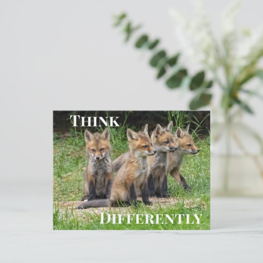 Carte Postale Penser différemment Fox (Debout devant)