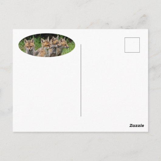 Carte Postale Penser différemment Fox (Dos)