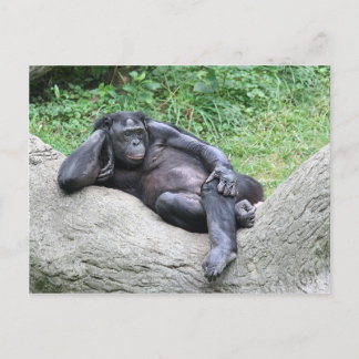 Carte Postale Penses-tu que je sois sexy ?