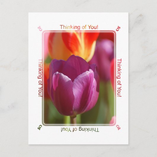 Carte Postale Pensez à vous (Devant)