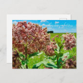 Carte Postale Pensez à vous (Devant / Derrière)