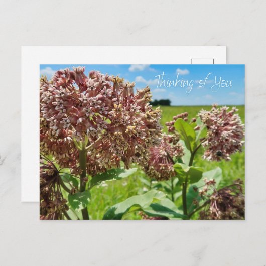 Carte Postale Pensez à vous (Devant / Derrière)