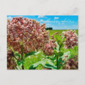 Carte Postale Pensez à vous (Devant)