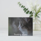 Carte Postale Pensez à vous (Debout devant)