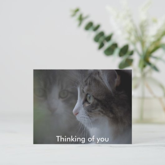 Carte Postale Pensez à vous (Debout devant)