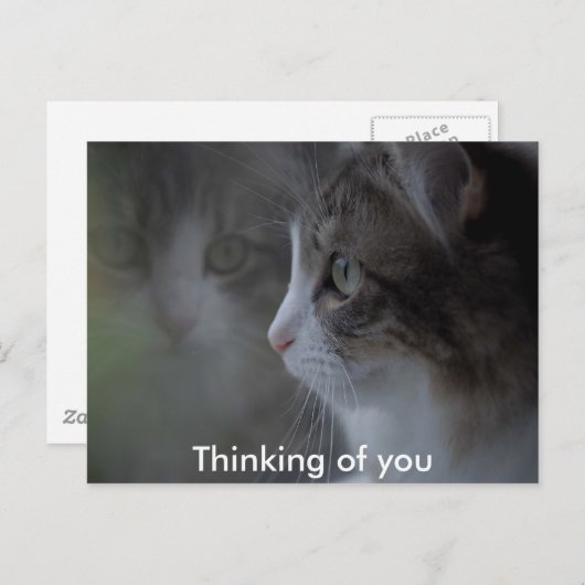 Carte Postale Pensez à vous (Devant / Derrière)