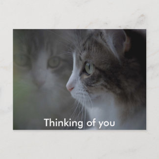 Carte Postale Pensez à vous