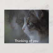 Carte Postale Pensez à vous (Devant)