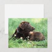 Carte Postale Pensez à vous Labrador Retriever Purple Flowers (Devant / Derrière)