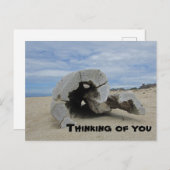 Carte Postale Pensez à vous Pacific Ocean Beach Driftwood (Devant / Derrière)
