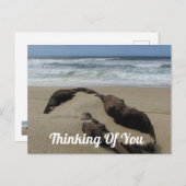 Carte Postale Pensez À Vous Plage De Sable Driftwood Prenez Soin (Devant / Derrière)