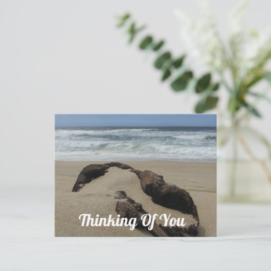 Carte Postale Pensez À Vous Plage De Sable Driftwood Prenez Soin (Debout devant)