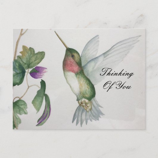 Carte Postale Pensez À Vous Sweet Hummingbird Garden (Devant)