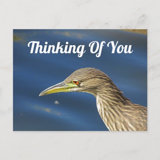 Carte Postale Pensez À Vous Tan Bird Amitié De Longue Distance (Devant)