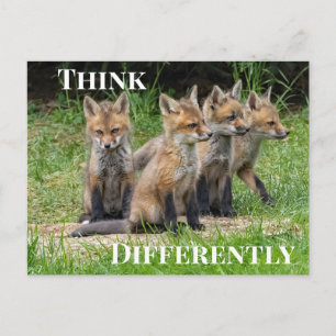 Carte Postale Pensez différemment Renard