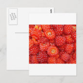 CARTE POSTALE PENSEZ RASPBERRY ! (Devant / Derrière)