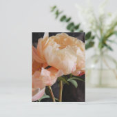 Carte Postale Peonies (Debout devant)