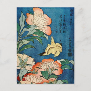 Carte postale PEONIES ASIATIQUES