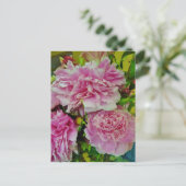 Carte Postale Peonies Français Style Pays (Debout devant)
