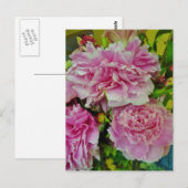 Carte Postale Peonies Français Style Pays (Devant / Derrière)
