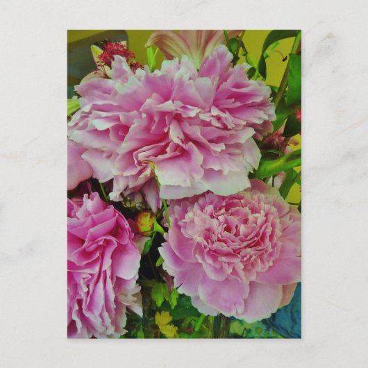 Carte Postale Peonies Français Style Pays (Devant)
