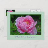 CARTE POSTALE, "PEONK PEONKING/THINKING OF YOU" CA (Devant / Derrière)