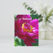 Carte Postale Peony (Debout devant)