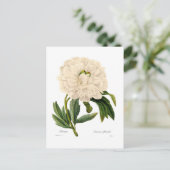 Carte Postale Peony (Debout devant)