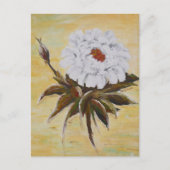 Carte Postale Peony blanc (Devant)