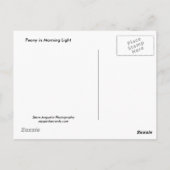 Carte Postale Peony Dans La Lumière Du Matin (Dos)