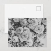 CARTE POSTALE PEONY FLEURS (Devant / Derrière)