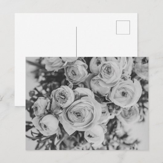 CARTE POSTALE PEONY FLEURS (Devant / Derrière)