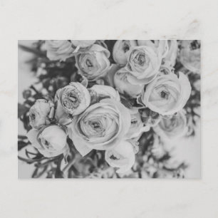 CARTE POSTALE PEONY FLEURS