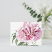 CARTE POSTALE PEONY ROSE BOTANIQUE vintage (Debout devant)