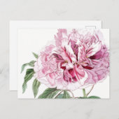 CARTE POSTALE PEONY ROSE BOTANIQUE vintage (Devant / Derrière)