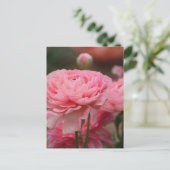 Carte Postale Peony Rose Ranunculus Closeup (Debout devant)